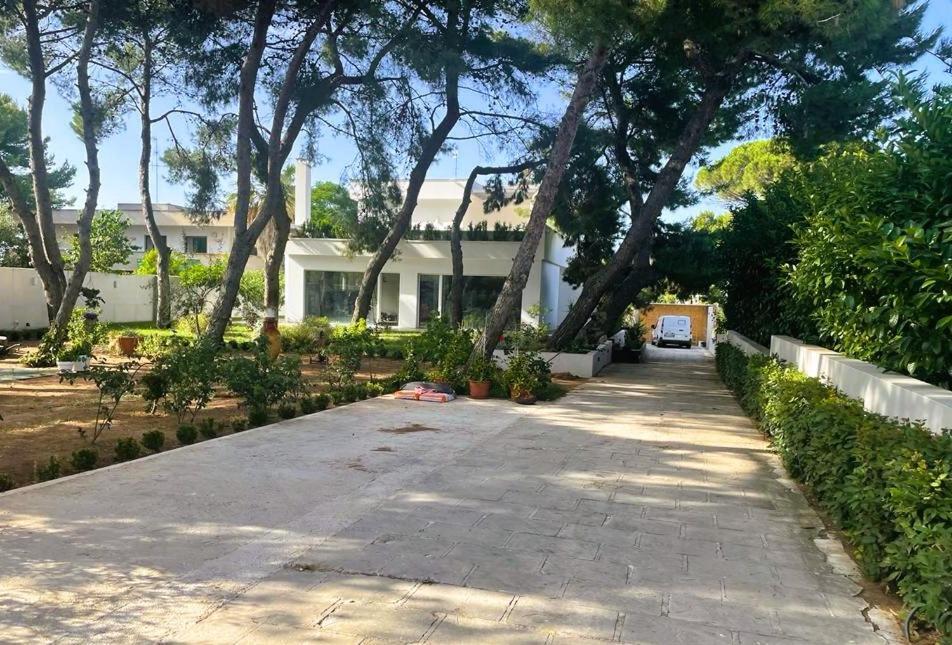 Apartmán Casa Morgana Giovinazzo Exteriér fotografie